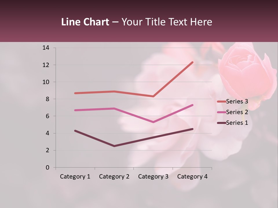 A Pink Rose Is In The Middle Of A Picture PowerPoint Template