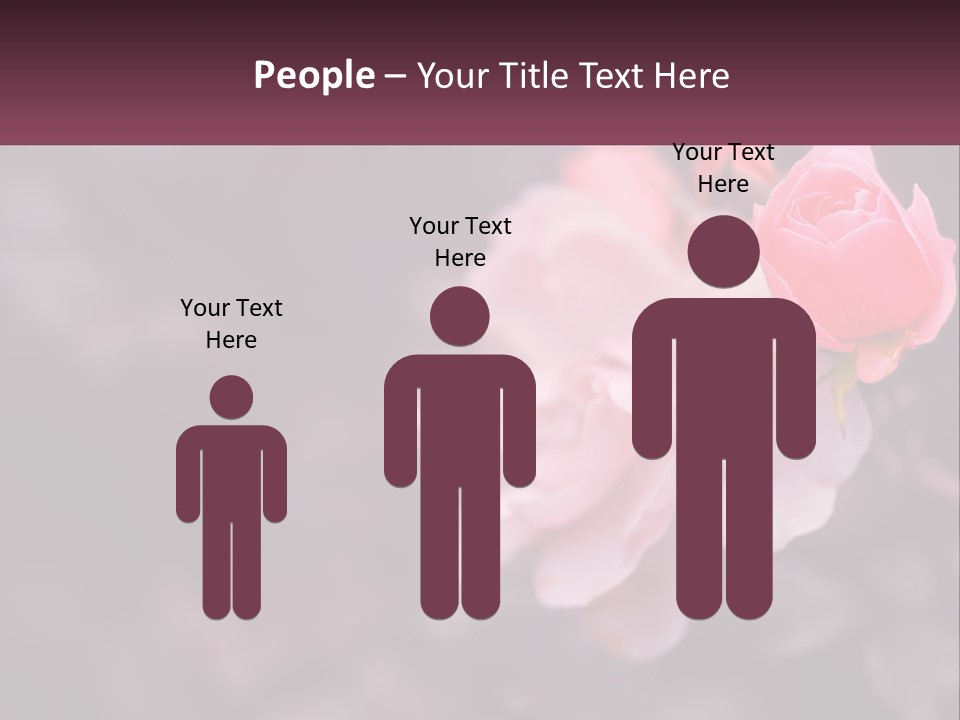 A Pink Rose Is In The Middle Of A Picture PowerPoint Template