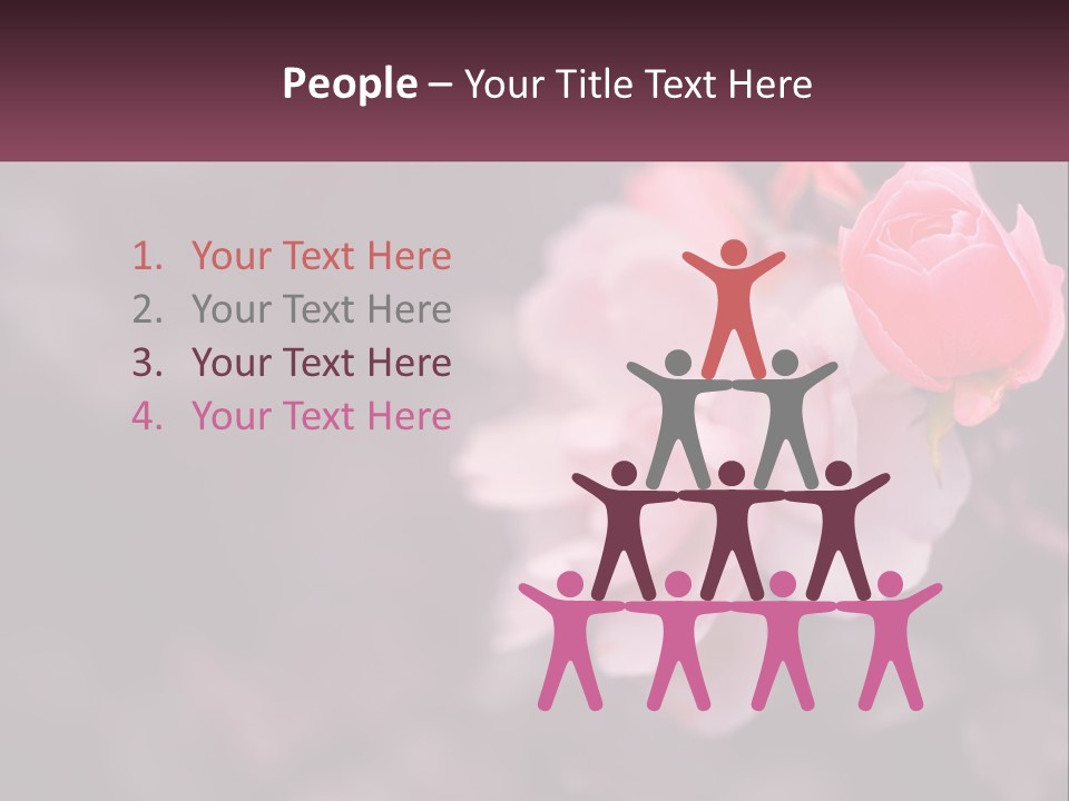 A Pink Rose Is In The Middle Of A Picture PowerPoint Template