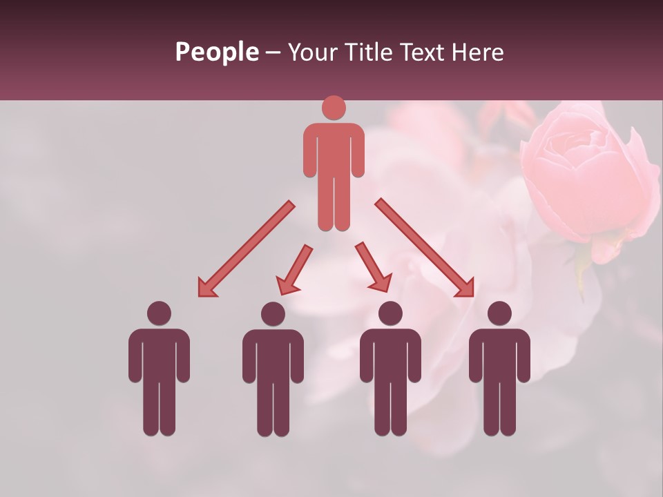 A Pink Rose Is In The Middle Of A Picture PowerPoint Template