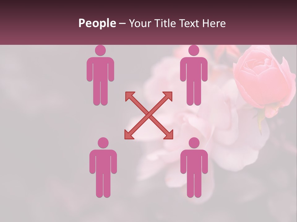 A Pink Rose Is In The Middle Of A Picture PowerPoint Template