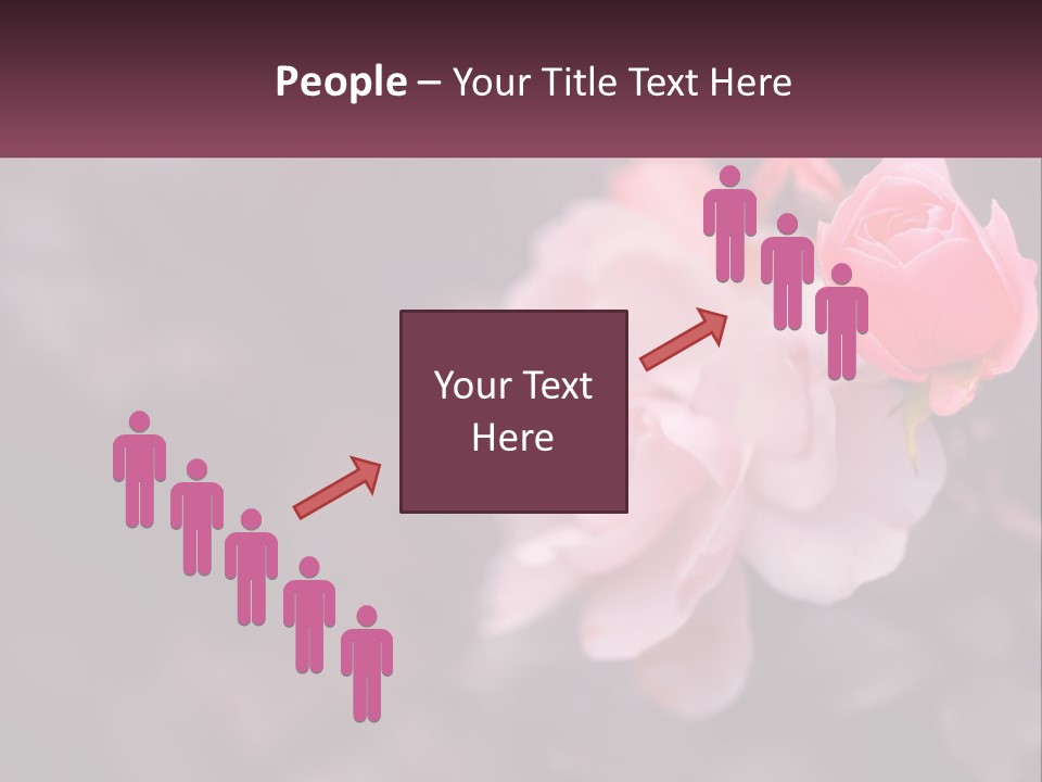 A Pink Rose Is In The Middle Of A Picture PowerPoint Template