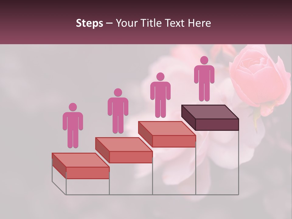 A Pink Rose Is In The Middle Of A Picture PowerPoint Template