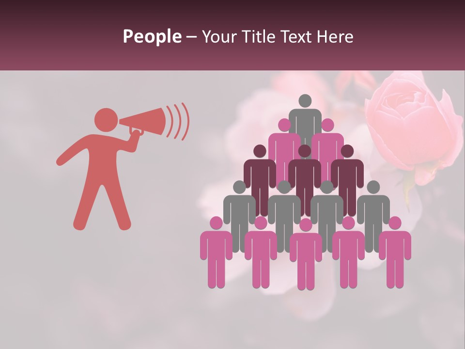 A Pink Rose Is In The Middle Of A Picture PowerPoint Template