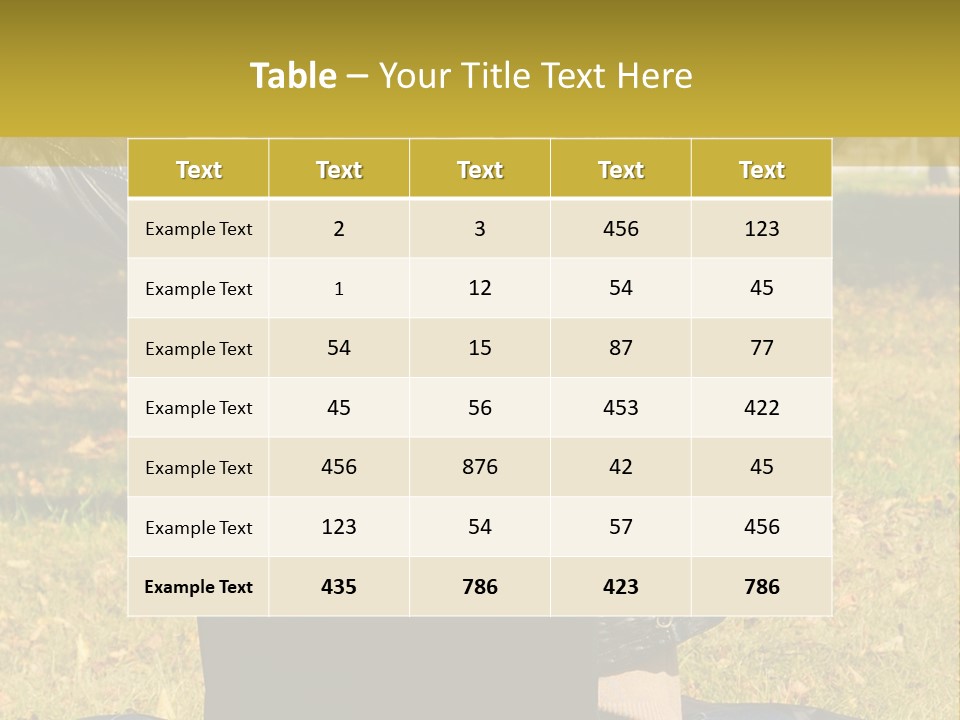 A Woman Sitting In The Grass With Her Laptop PowerPoint Template