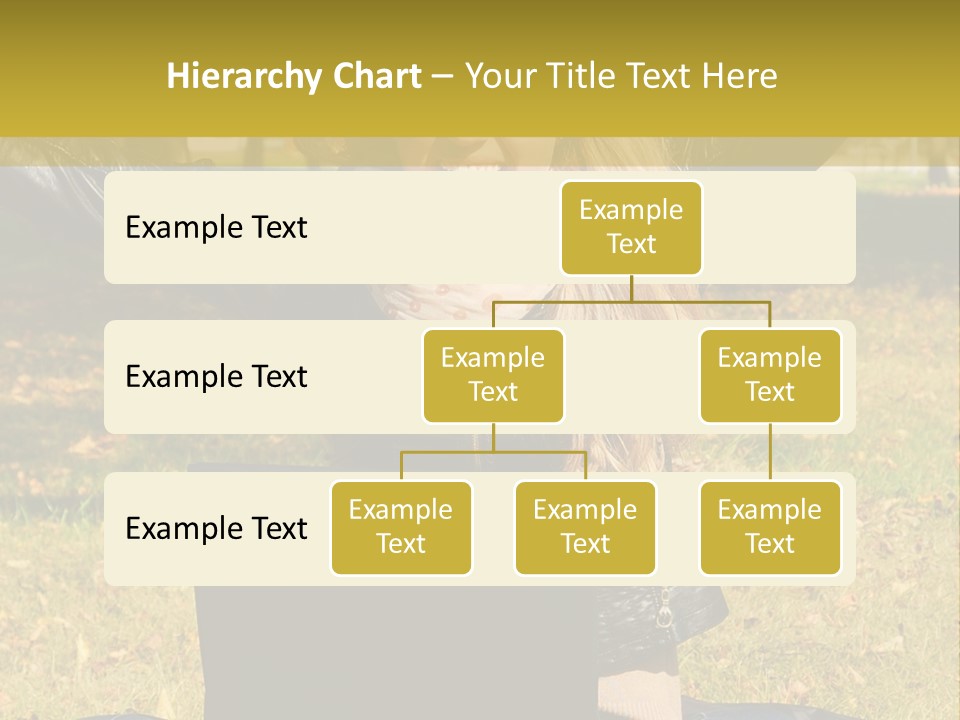 A Woman Sitting In The Grass With Her Laptop PowerPoint Template