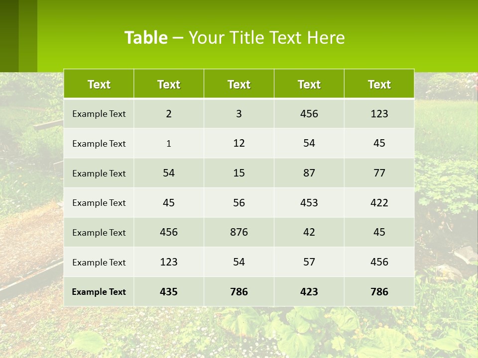 A Wooden Bridge Over A Small Stream In A Park PowerPoint Template