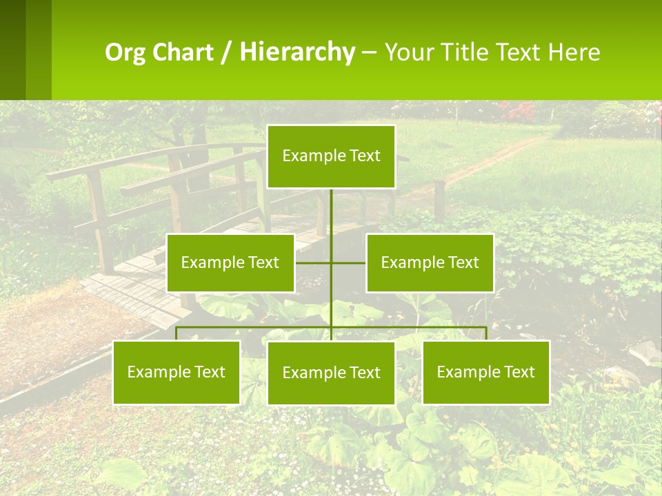 A Wooden Bridge Over A Small Stream In A Park PowerPoint Template