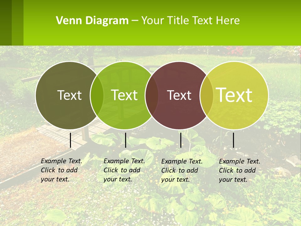 A Wooden Bridge Over A Small Stream In A Park PowerPoint Template