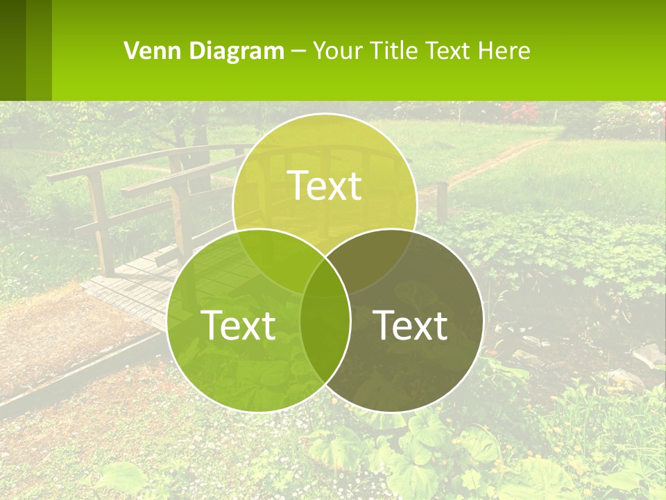 A Wooden Bridge Over A Small Stream In A Park PowerPoint Template