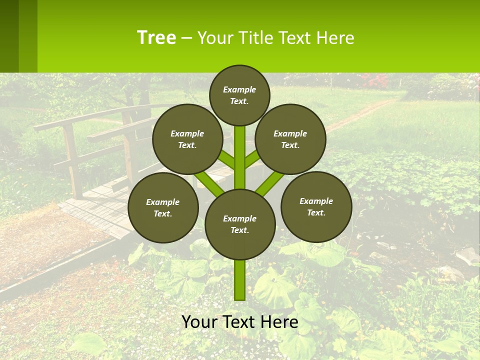 A Wooden Bridge Over A Small Stream In A Park PowerPoint Template