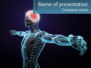 A Skeleton With A Red Brain In The Middle Of It PowerPoint Template