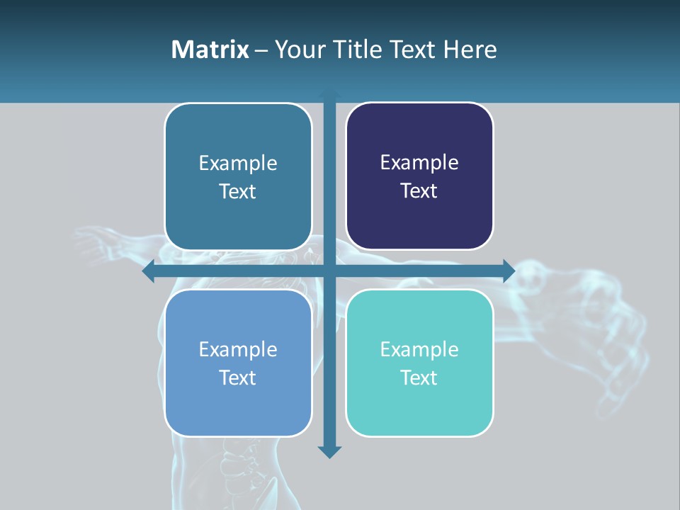 A Skeleton With A Red Brain In The Middle Of It PowerPoint Template