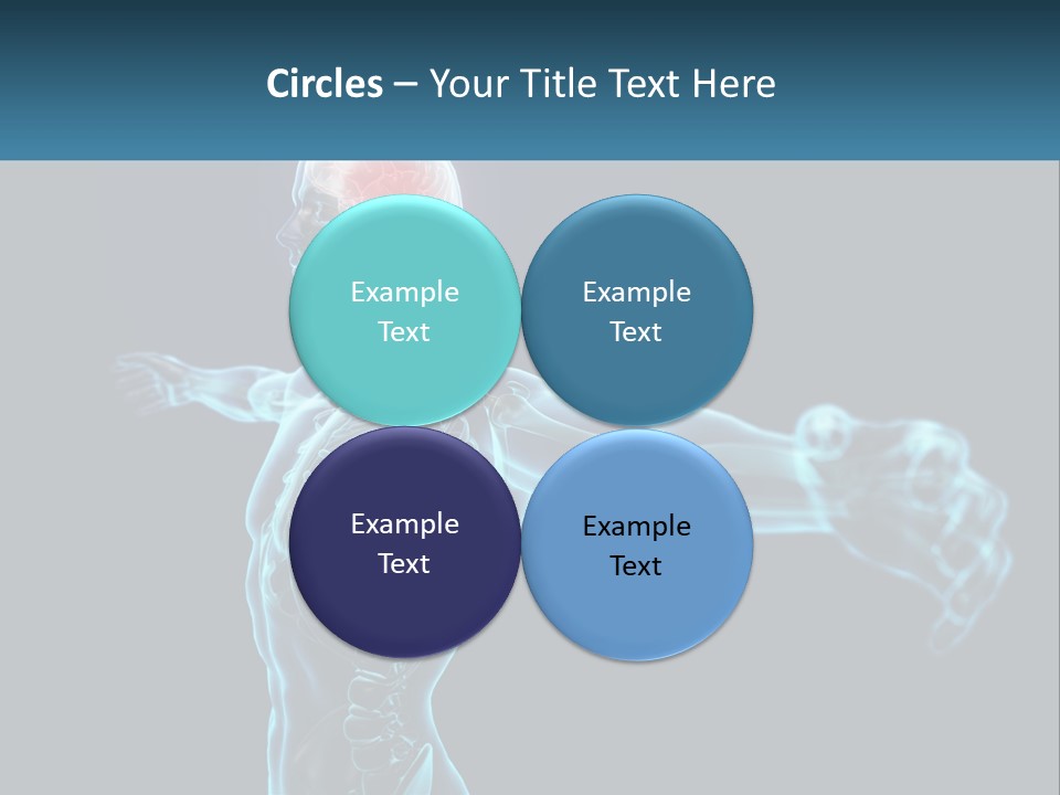 A Skeleton With A Red Brain In The Middle Of It PowerPoint Template