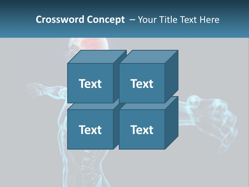 A Skeleton With A Red Brain In The Middle Of It PowerPoint Template