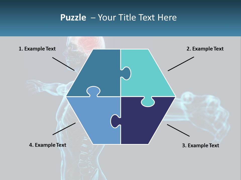 A Skeleton With A Red Brain In The Middle Of It PowerPoint Template