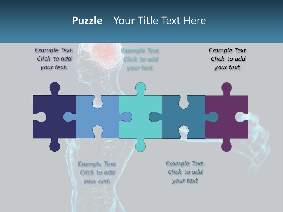 A Skeleton With A Red Brain In The Middle Of It PowerPoint Template