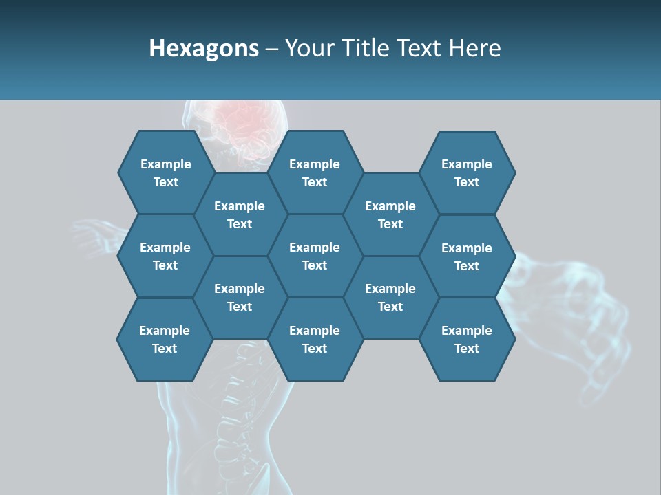 A Skeleton With A Red Brain In The Middle Of It PowerPoint Template