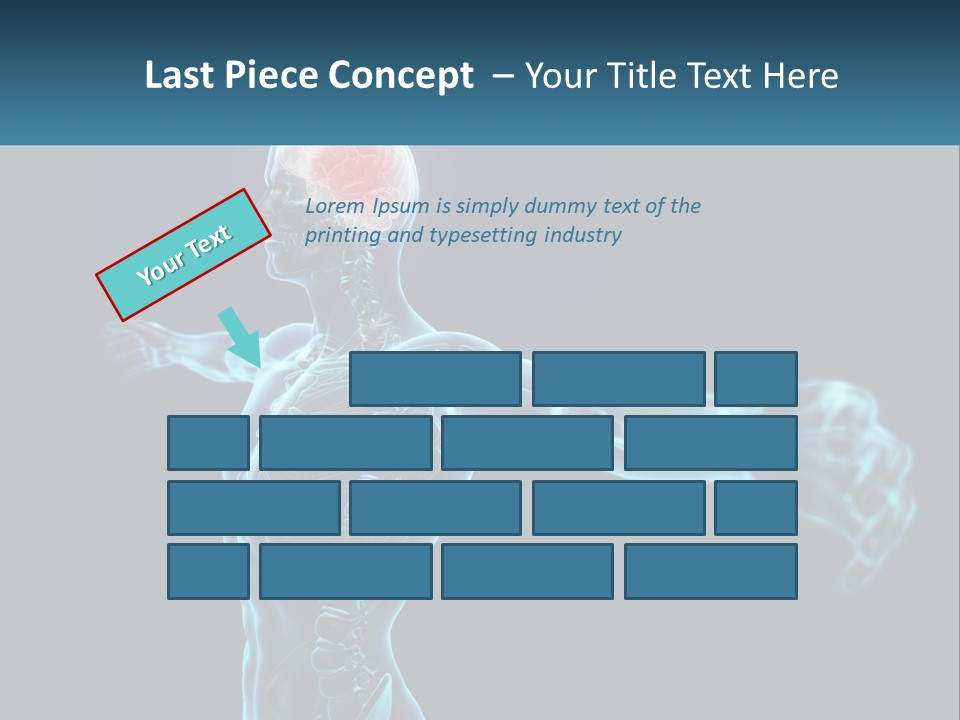 A Skeleton With A Red Brain In The Middle Of It PowerPoint Template