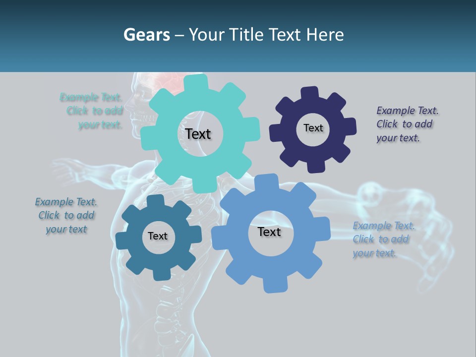 A Skeleton With A Red Brain In The Middle Of It PowerPoint Template