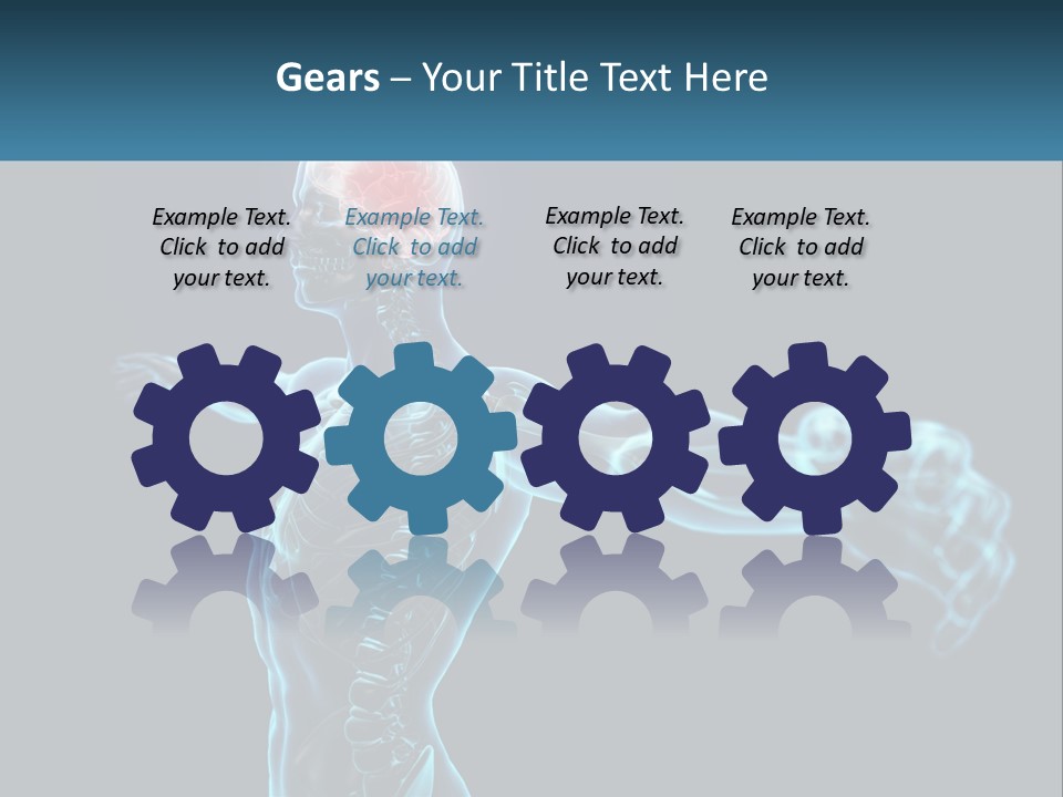A Skeleton With A Red Brain In The Middle Of It PowerPoint Template