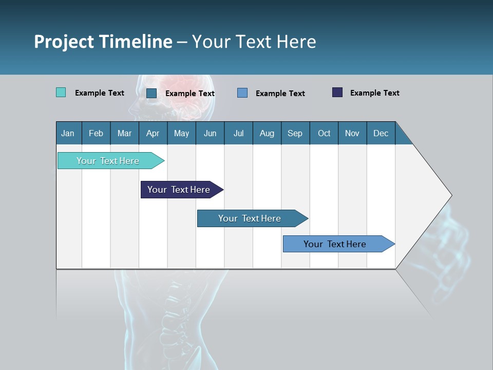 A Skeleton With A Red Brain In The Middle Of It PowerPoint Template