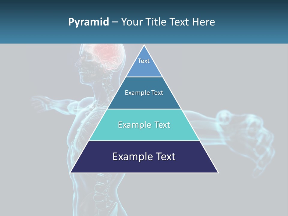 A Skeleton With A Red Brain In The Middle Of It PowerPoint Template