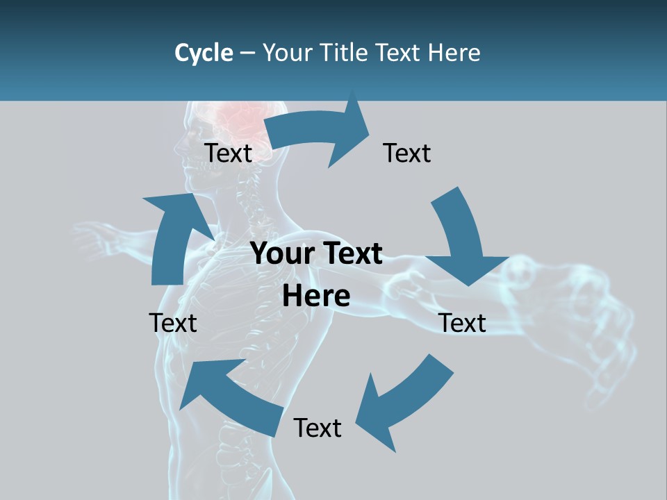 A Skeleton With A Red Brain In The Middle Of It PowerPoint Template