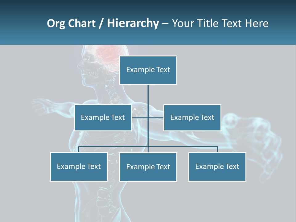 A Skeleton With A Red Brain In The Middle Of It PowerPoint Template