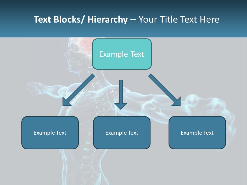 A Skeleton With A Red Brain In The Middle Of It PowerPoint Template