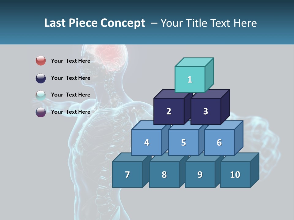 A Skeleton With A Red Brain In The Middle Of It PowerPoint Template