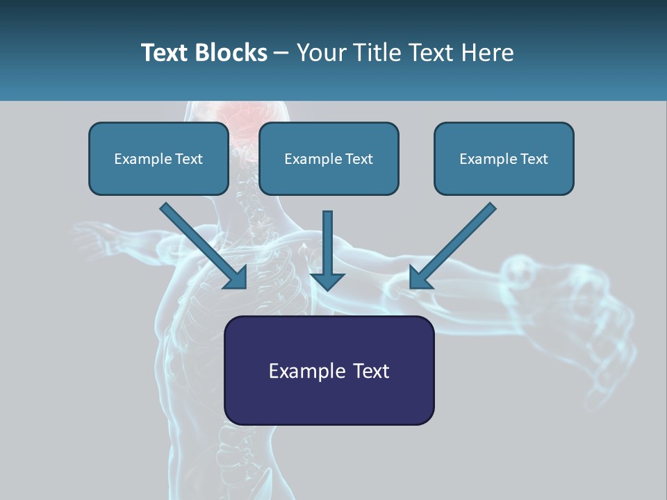 A Skeleton With A Red Brain In The Middle Of It PowerPoint Template