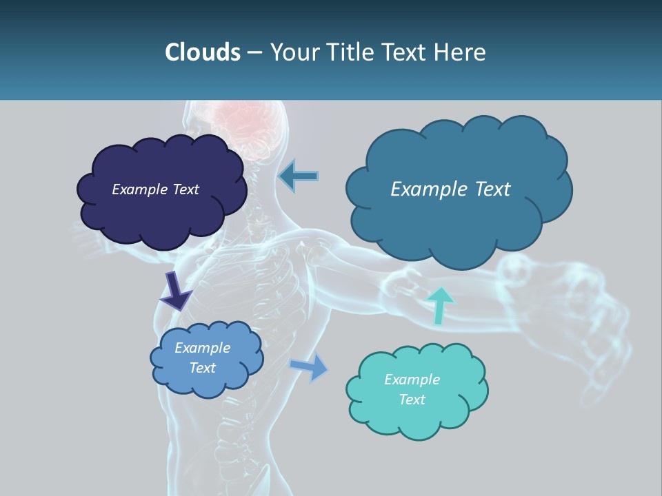 A Skeleton With A Red Brain In The Middle Of It PowerPoint Template