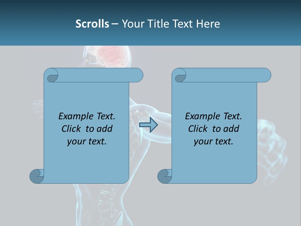 A Skeleton With A Red Brain In The Middle Of It PowerPoint Template