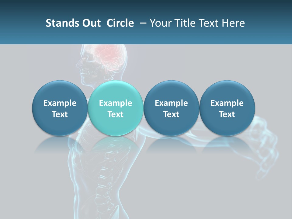 A Skeleton With A Red Brain In The Middle Of It PowerPoint Template