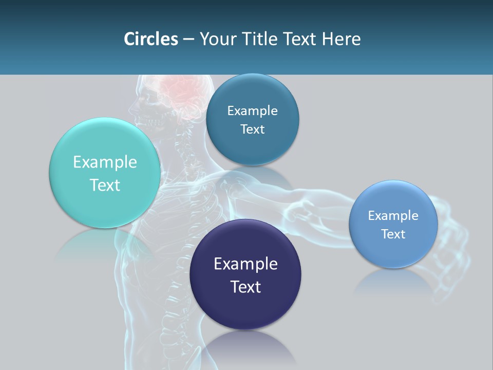 A Skeleton With A Red Brain In The Middle Of It PowerPoint Template