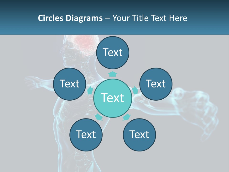 A Skeleton With A Red Brain In The Middle Of It PowerPoint Template