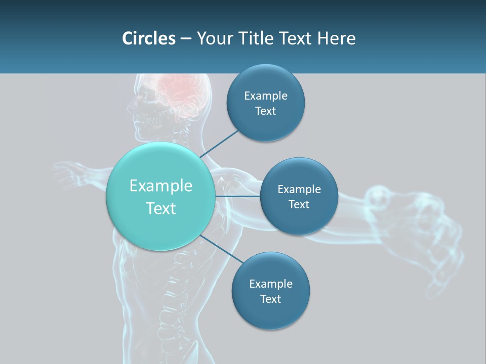 A Skeleton With A Red Brain In The Middle Of It PowerPoint Template