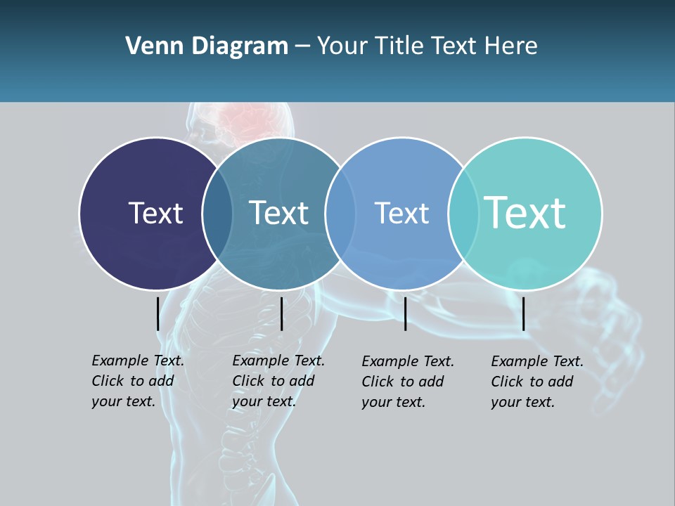 A Skeleton With A Red Brain In The Middle Of It PowerPoint Template