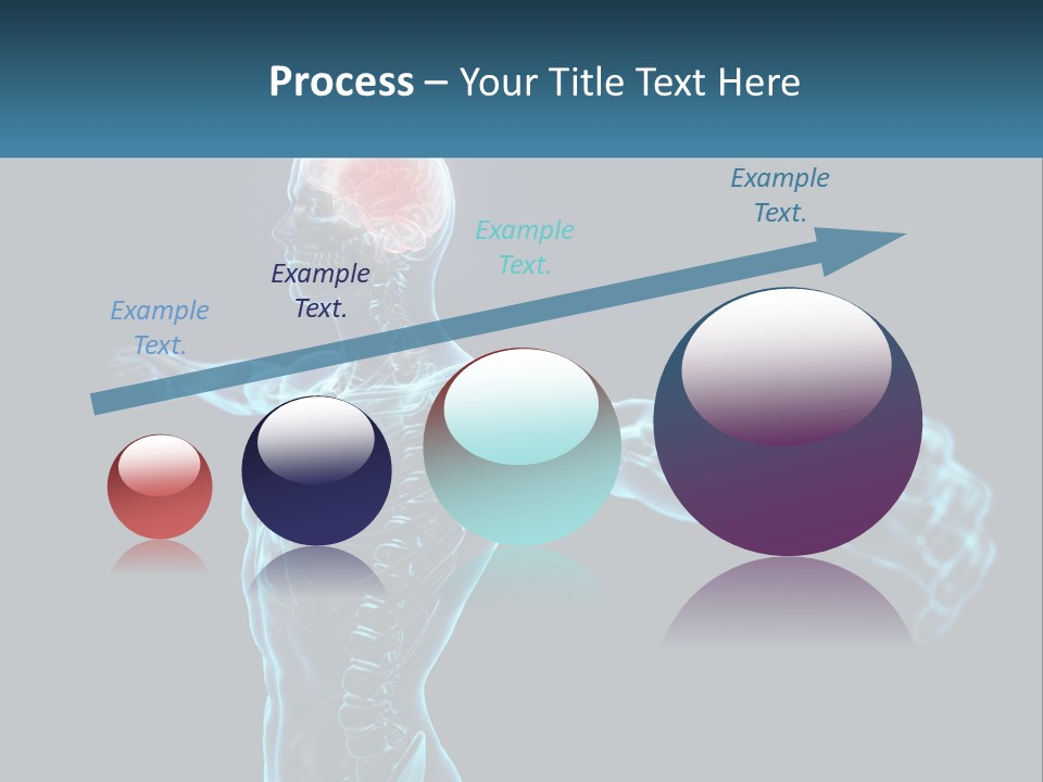 A Skeleton With A Red Brain In The Middle Of It PowerPoint Template