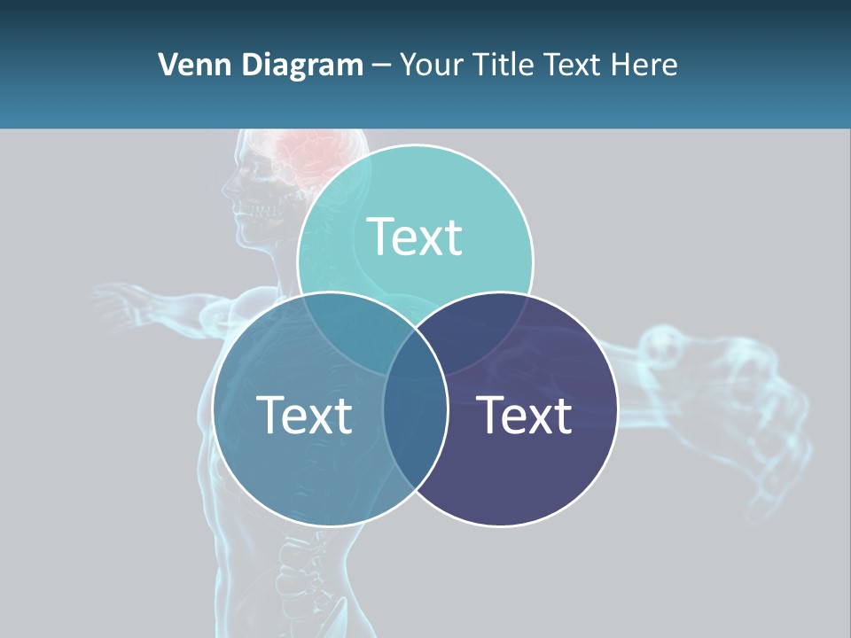 A Skeleton With A Red Brain In The Middle Of It PowerPoint Template