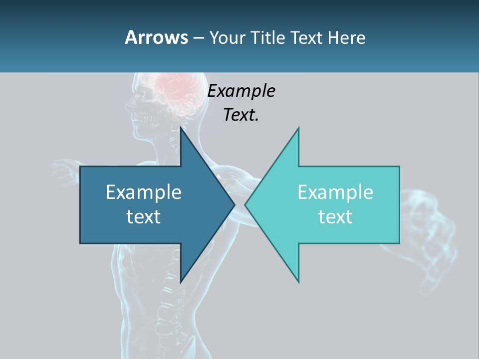 A Skeleton With A Red Brain In The Middle Of It PowerPoint Template