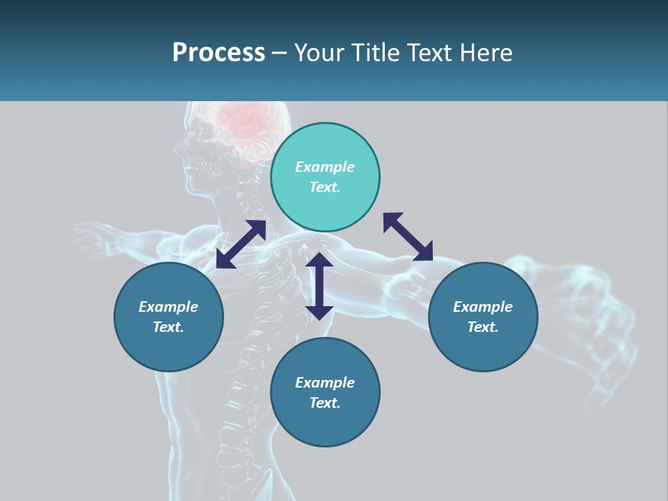 A Skeleton With A Red Brain In The Middle Of It PowerPoint Template