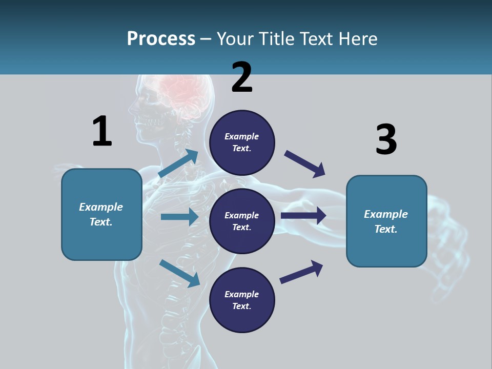 A Skeleton With A Red Brain In The Middle Of It PowerPoint Template
