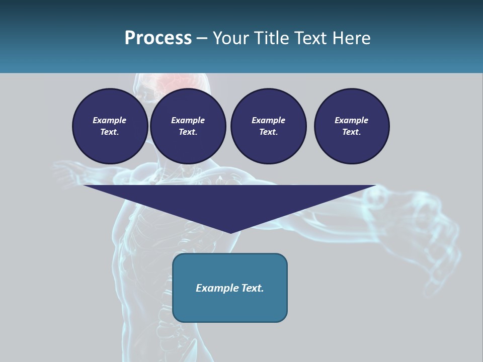 A Skeleton With A Red Brain In The Middle Of It PowerPoint Template