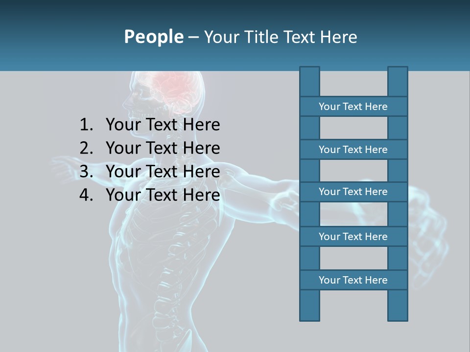 A Skeleton With A Red Brain In The Middle Of It PowerPoint Template