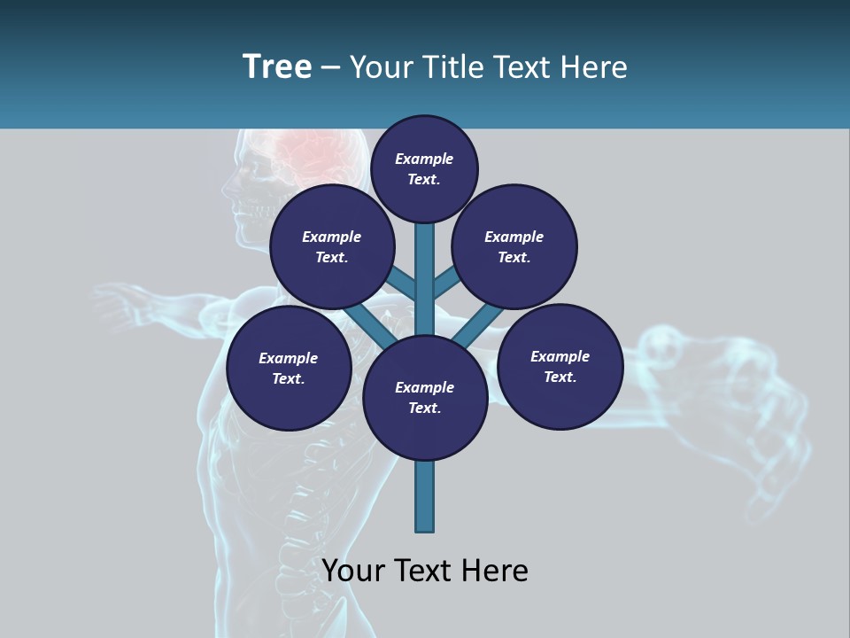 A Skeleton With A Red Brain In The Middle Of It PowerPoint Template