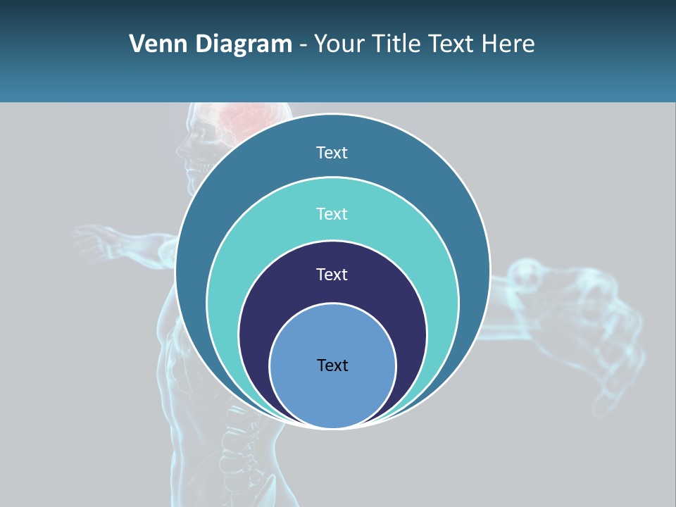 A Skeleton With A Red Brain In The Middle Of It PowerPoint Template