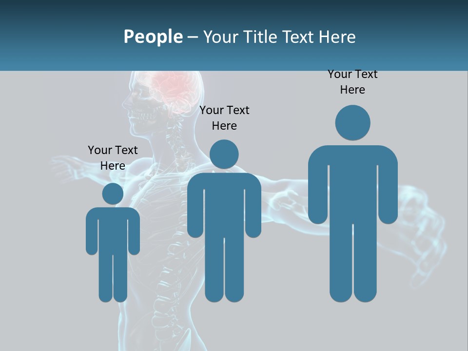 A Skeleton With A Red Brain In The Middle Of It PowerPoint Template