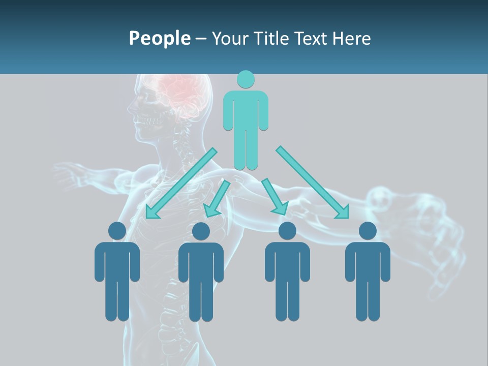 A Skeleton With A Red Brain In The Middle Of It PowerPoint Template